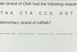 Building dna gizmo answers activity b