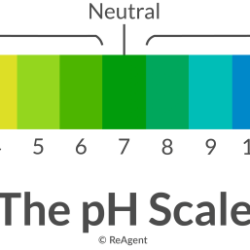 Color by number acids and bases answers