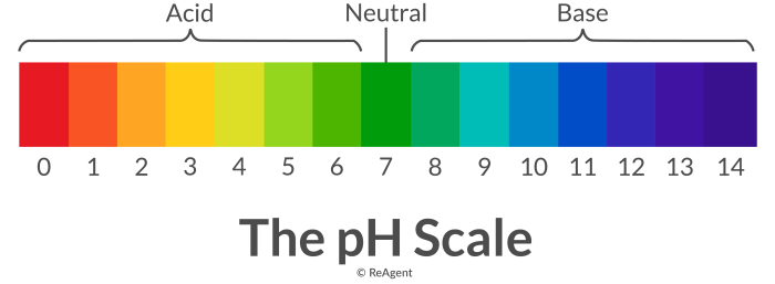 Color by number acids and bases answers