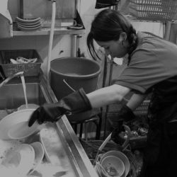 Dishwasher restaurant staff fringearts room